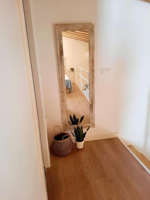 Loft Centrico Con Patio Bodega San Javier Leilighet Jerez de la Frontera Eksteriør bilde